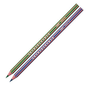 ASTUCCIO 12 MATITE EVOLUTION STRIPES COLORI ASSORTITE BIC COD. 9505222