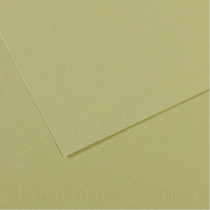 FOGLIO MI-TEINTES A4 160 GR. 480 VERDE MANDORLA COD. C31032S022 CONFEZIONE DA 25