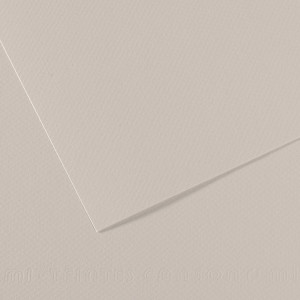 FOGLIO MI-TEINTES A4 CM 160 GR. 120 GRIGIO PERLA COD. C31032S009 CONFEZIONE DA 25