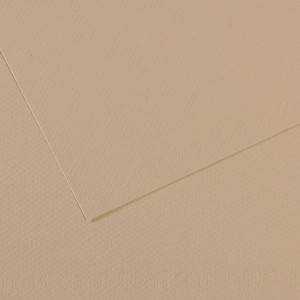 FOGLIO MI-TEINTES A4 CM 160 GR. 343 GRIGIO TRIANON COD. C31032S014 CONFEZIONE DA 25