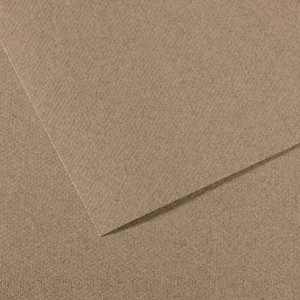 FOGLIO MI-TEINTES A4 CM 160 GR. 431 GRIGIO SCREZIATO COD. C31033S035 CONFEZIONE DA 25
