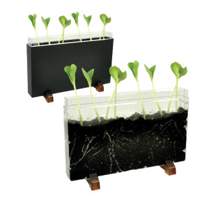 CONTENITORE ESPLORA IL SOTTOSUOLO DIM. 30X19X4CM CWR COD. 12892