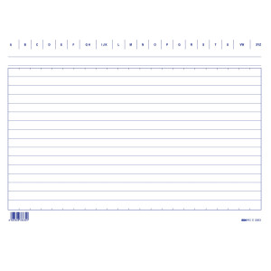 100 SCHEDE RIGATE 17X24CM ORIZZONTALE E3363BL EDIPRO COD. E3363BL