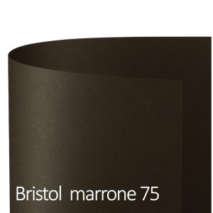 CONF.25 CARTONCINO BRISTOL COLOR 200GR 50X70CM MARRONE 75 FAVINI COD. A358022