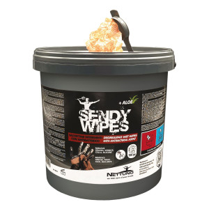 SECCHIELLO DA 100 SALVIETTE UMIDIFICATE 26X27CM SANDY WIPES COD. 00813
