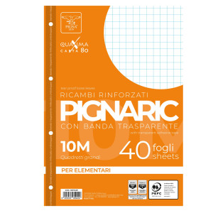 RICAMBI FORATI RINFORZATI A4 10MM 40FG 80GR PIGNARIC COD. 021945910