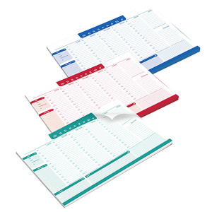 DESK PLANNER MONOCROMO DA SCRIVANIA 42X29,5CM COLORI ASSORTITI PIGNA COD. 023266300 CONFEZIONE DA 3