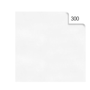 BUSTA 26FOGLI 50X70CM CARTA VELINA 20GR BIANCO REX SADOCH COD. KV105300