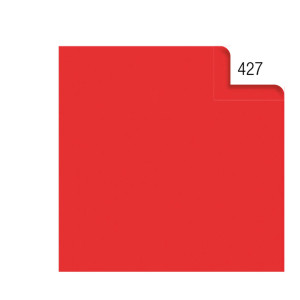 BUSTA 26FOGLI 50X70CM CARTA VELINA 20GR ROSSO REX SADOCH COD. KV106427