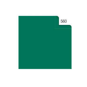 BUSTA 26FOGLI 50X70CM CARTA VELINA 20GR VERDE REX SADOCH COD. KV106560