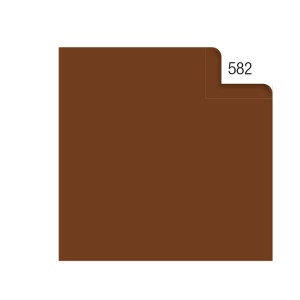 BUSTA 26FOGLI 50X70CM CARTA VELINA 20GR MARRONE REX SADOCH COD. KV106582