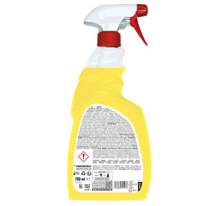 DETERSOLVENTE SGRASSANTE DEINK TRIGGER 750ML SANITEC COD. 1884-S