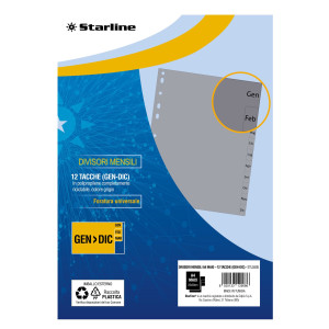 DIVISORI MENSILI (GEN-DIC IN PP 12 TACCHE F.TO A4 MAXI 24,5X30CM GRIGIO STARLINE COD. 2000019C5-STL
