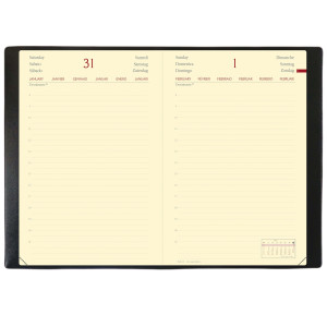 AGENDA DAILY 21 PRESTIGE 13X21CM HABANA NERO 2022 QUO VADIS COD. 375002Q