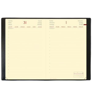 AGENDA GIORNALIERA DAILY 21 PRESTIGE 13X21CM HABANA ROSSO 2022 QUO VADIS COD. 375004Q