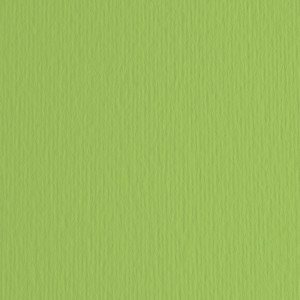 FABRIANO L/R 220GR.50X70 V.PISELLO - CF. DA 20