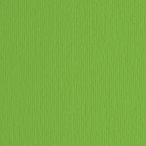 FABRIANO L/R 220GR.50X70 VERDE - CF. DA 20