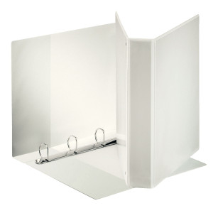 RACCOGLITORE DISPLAY MAXI 22X30CM 4D H40MM BIANCO PERSONALIZZABILE ESSELTE COD. 394753000