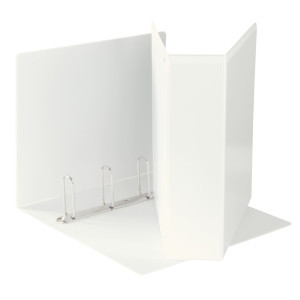 RACCOGLITORE DISPLAY MAXI 22X30CM 4Q H65MM BIANCO PERSONALIZZABILE ESSELTE COD. 394758000