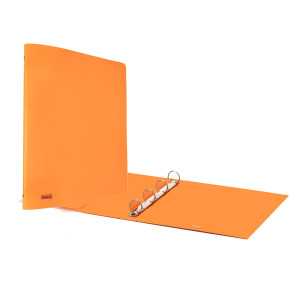 RACCOGLITORE EUROPA 4010 22X30MM 4R DORSO 30 ARANCIO NEON FAVORIT COD. 400052715