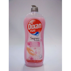 DIXAN PIATTI MANI E UNGHIE