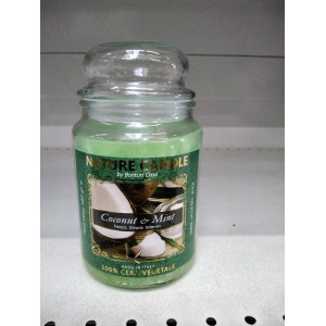 CANDELA NATURE 580 GR. COCONUTMINT