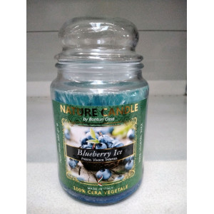 CANDELA NATURE 580 GR. BLUEBERRY ICE