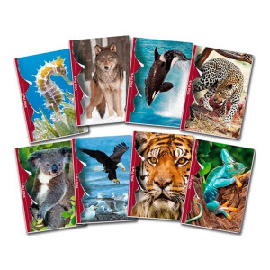 QUAD. MAXI BLASETTI 80 GR. 20+1 FG. Q CF.10