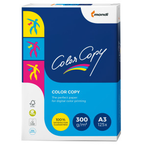 CARTA COLOR COPY 300 GR. 320X450 CF. DA 125