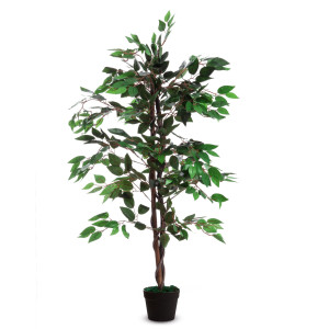 PIANTA ORNAMENTALE FICUS H120CM COD. K700136