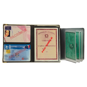 DISPLAY 24 PORTADOCUMENTI MULTICARD SPECIAL COLORI ASSORTITI 1060S ALPLAST COD. 1060S