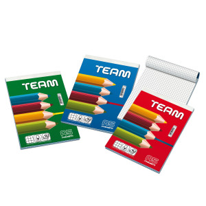 BLOCCO NOTE 150X210MM 5MM 50GR 50FG TEAM BLASETTI COD. 1003 CONFEZIONE DA 10