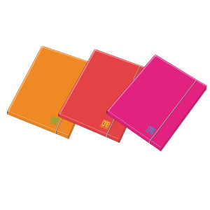 CARTELLA 3 LEMBI C/ELAST. DORSO 1CM COLORI ASSORTITI FLUO ONE COLOR BLASETTI COD. 7734 CONFEZIONE DA 6