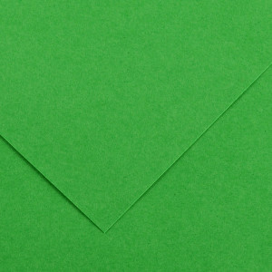 FOGLIO COLORLINE 70X100 CM 220 GR. 29 VERDE BRILLANTE COD. 200041215 CONFEZIONE DA 25