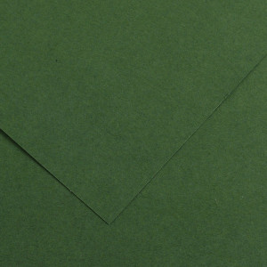 FOGLIO COLORLINE 70X100 CM 220 GR. 31 VERDE ABETE COD. 200041217 CONFEZIONE DA 25