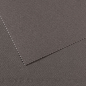 FOGLIO MI-TEINTES A4 CM 160 GR. 345 GRIGIO ARDESIA COD. C31032S015 CONFEZIONE DA 25