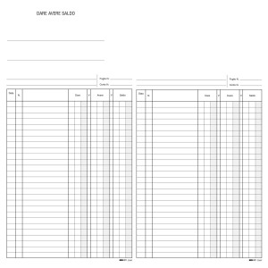REGISTRO DARE/AVERE/SALDO 24X17 100PAG. E2689 COD. E2689
