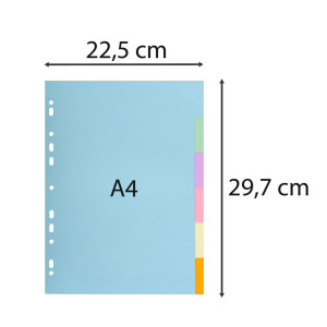 SEPARATORE PASTEL A4 6 TASTI IN CARTONCINO 170GR 1606E FOREVER EXACOMPTA COD. 1606E