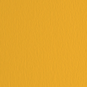 BLISTER 20FG CARTONCINO 50X70 220GR AVANA 103 FABRIANO ELLE ERRE COD. 42450703
