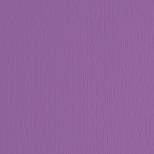 BLISTER 20FG CARTONCINO 50X70 220GR VIOLA 104 FABRIANO ELLE ERRE COD. 42450704