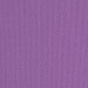 BLISTER 20FG CARTONCINO 50X70 220GR VIOLA 104 FABRIANO ELLE ERRE COD. 42450704