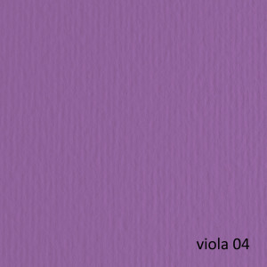 BLISTER 20FG CARTONCINO 50X70 220GR VIOLA 104 FABRIANO ELLE ERRE COD. 42450704