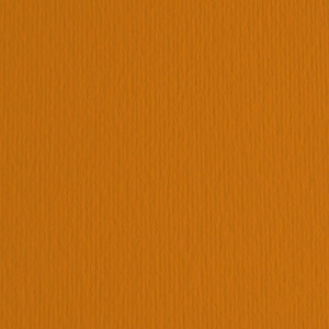 BLISTER 20FG CARTONCINO 50X70 220GR TERRA BRUCIATA 19 FABRIANO ELLE ERRE COD. 42450719