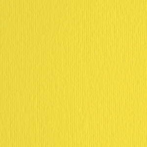 BLISTER 20FG CARTONCINO 50X70 220GR CEDRO 25 FABRIANO ELLE ERRE COD. 42450725
