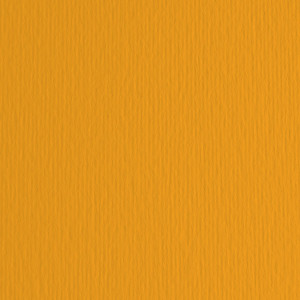 BLISTER 20FG CARTONCINO 50X70 220GR ARAGOSTA 26 FABRIANO ELLE ERRE COD. 42450726