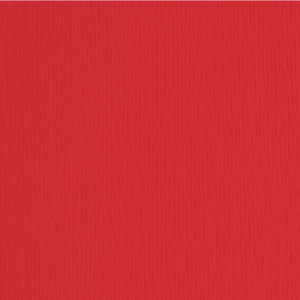BLISTER 20FG CARTONCINO 50X70 220GR CILIEGIA 27 FABRIANO ELLE ERRE COD. 42450727