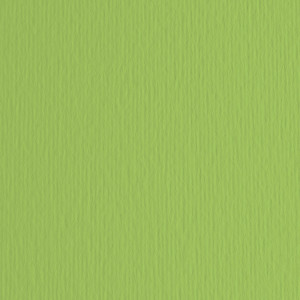 BLISTER 10FG CARTONCINO 70X100 220GR VERDE PISELLO 110 FABRIANO ELLE ERRE COD. 46470110