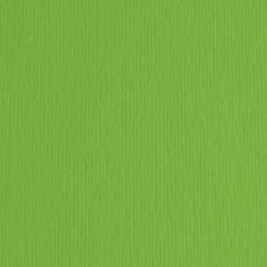 BLISTER 10FG CARTONCINO 70X100 220GR VERDE 111 FABRIANO ELLE ERRE COD. 46470111