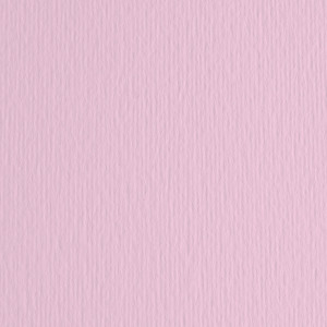 BLISTER 10FG CARTONCINO 70X100 220GR ROSA 116 FABRIANO ELLE ERRE COD. 46470116