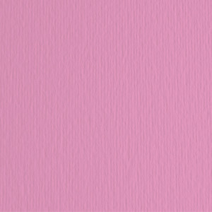 BLISTER 10FG CARTONCINO 70X100 220GR FUXIA 123 FABRIANO ELLE ERRE COD. 46470123